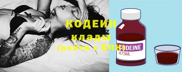 индика Пересвет