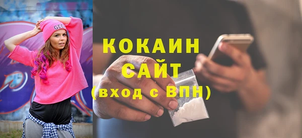 индика Пересвет