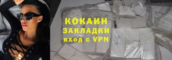 индика Пересвет