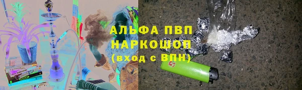 индика Пересвет