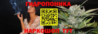 ECSTASY Канаш