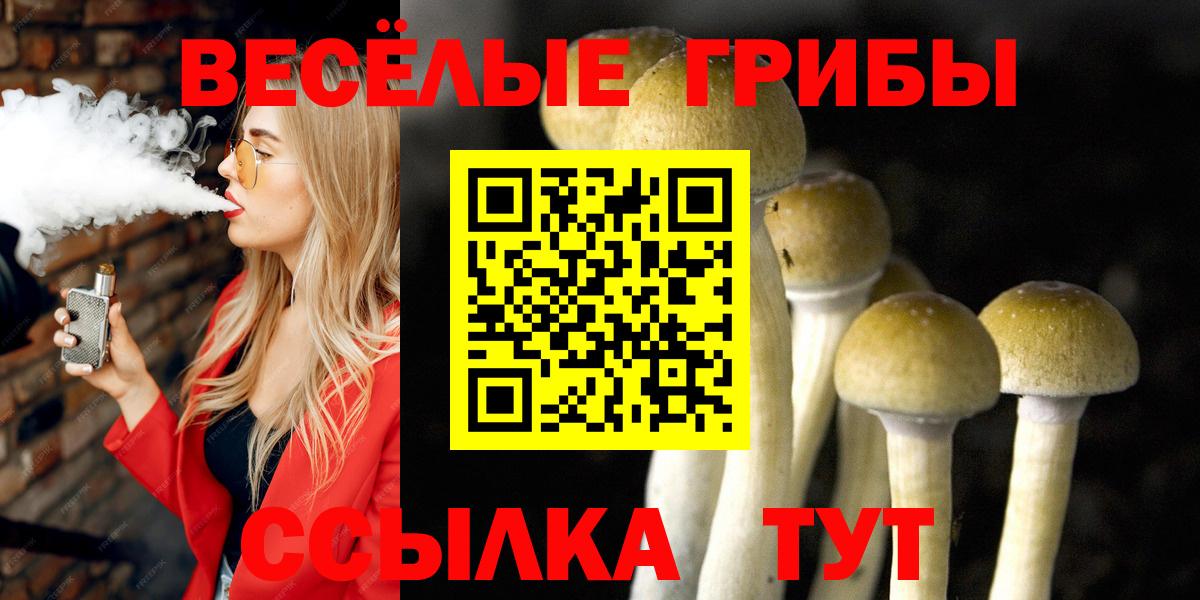 Галлюциногенные грибы GOLDEN TEACHER  Вход с VPN  Сатка  дарнет шоп  Псилоцибиновые грибы Psilocybine cubensis 