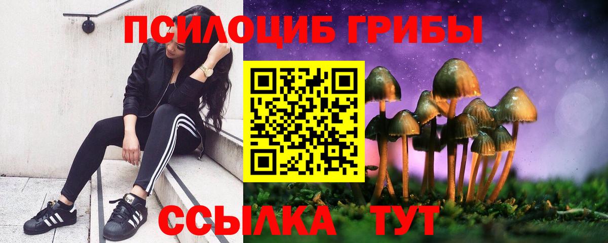Псилоцибиновые грибы Psilocybe Сатка