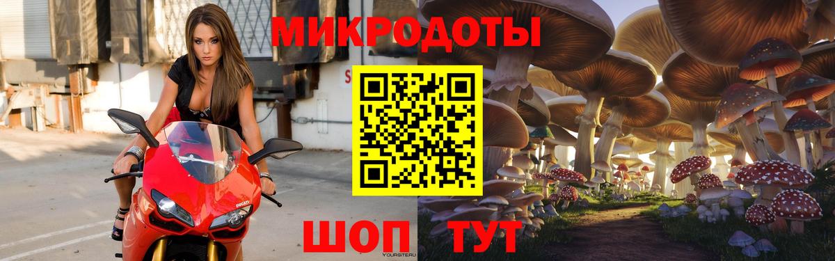 Псилоцибиновые грибы мицелий  где продают наркотики  Сатка 