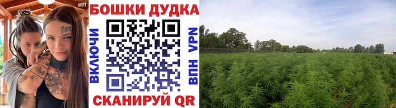 Шишки марихуана VHQ  Сатка 